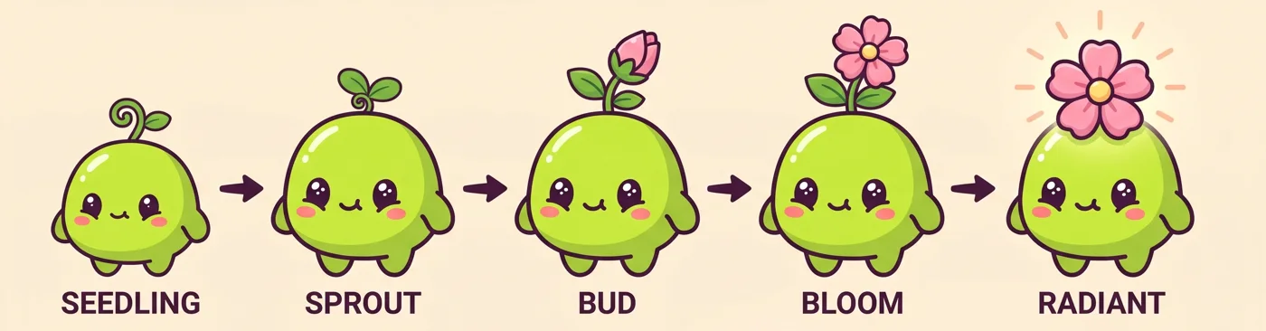 Growth stages: Seedling, Sprout, Bud, Bloom and Radiant